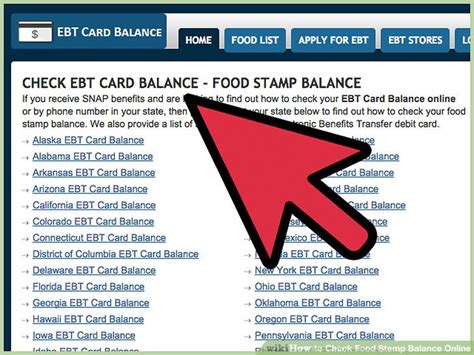 how to check michigan food stamp balance.
